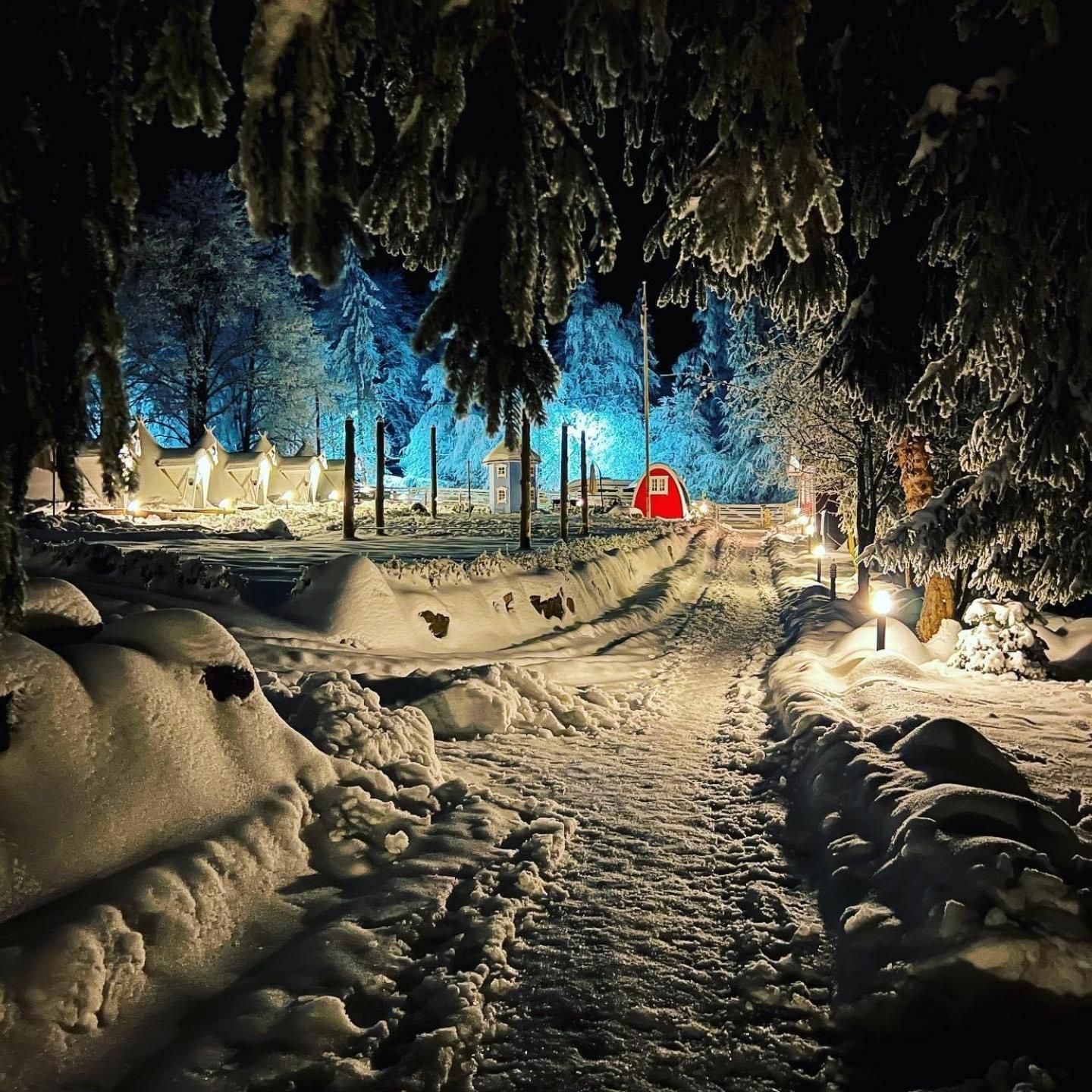 Hotel Finska Wioska Kalevala Borowice Esterno foto